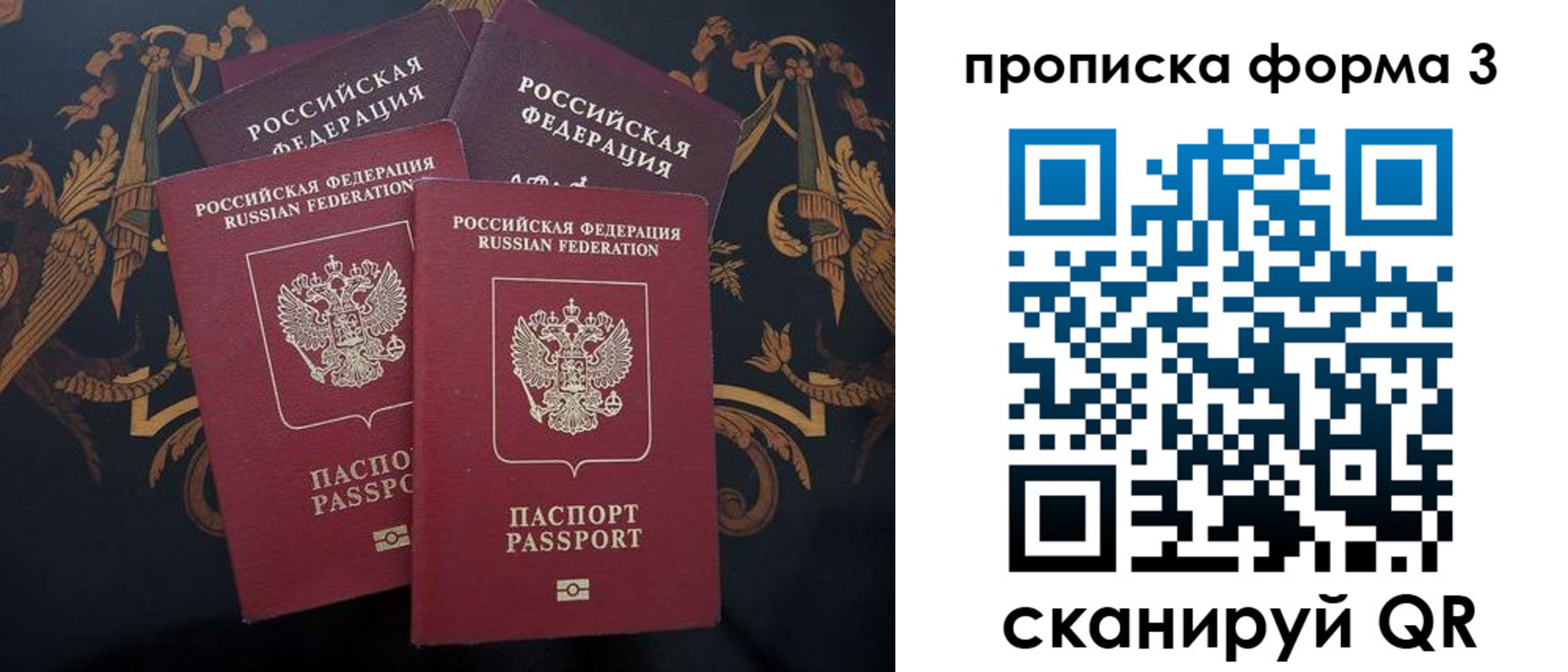 прописка законно в Кузнецке
